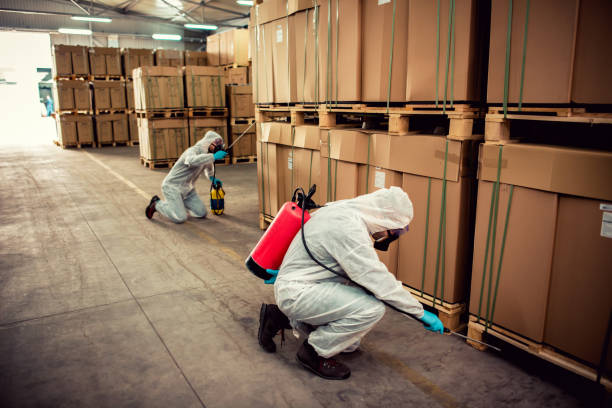 Best Residential Pest Control  in Cape Neddick, ME