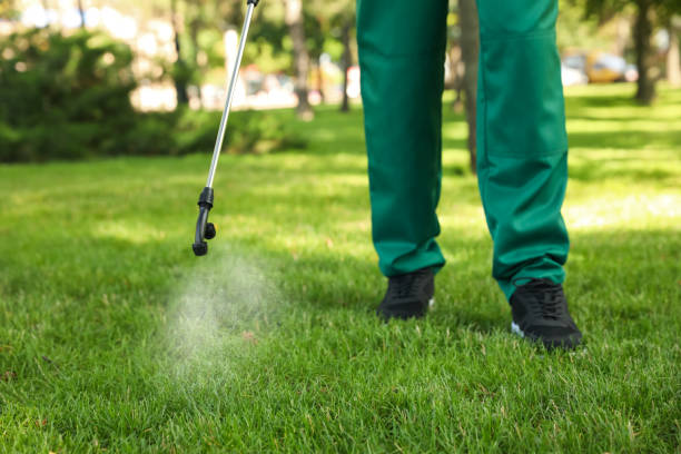 Best Mosquito Control Services  in Cape Neddick, ME