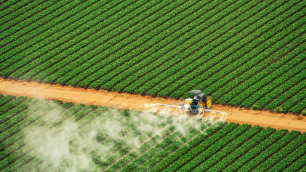 Best Commercial Pest Control Services  in Cape Neddick, ME