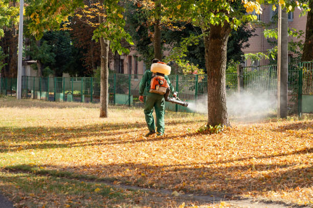 Best Wildlife Control Services  in Cape Neddick, ME