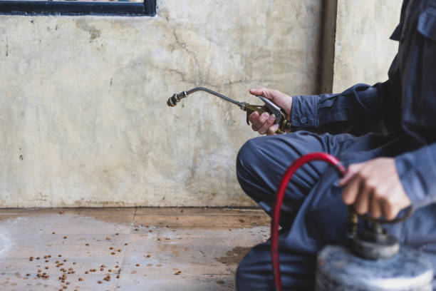 Best Exterminator Services  in Cape Neddick, ME